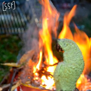 Setting Something Important On Fire