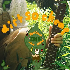 dirt so cheap (you can't own the land)