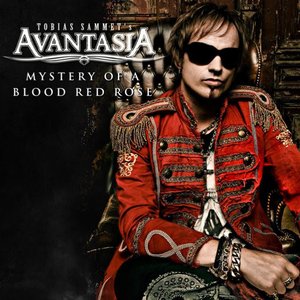 Mystery Of A Blood Red Rose