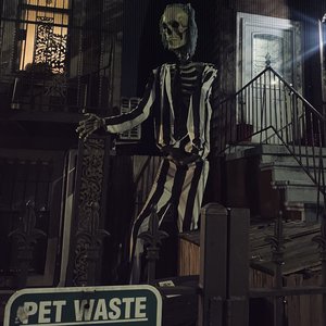 Pet Waste