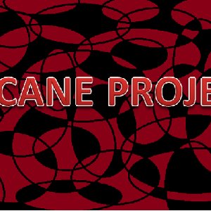 Image for 'Arcane project'