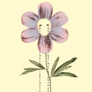 Forget-Me-Not