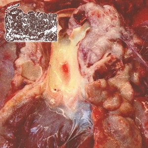 Untitled Harsh Gorenoise