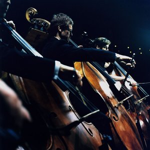 Swedish Radio Symphony Orchestra 的头像