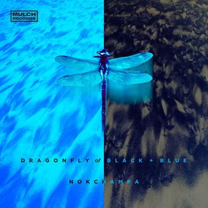 Dragonfly of Black and Blue