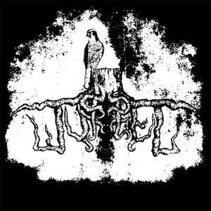 Würzel photo provided by Last.fm