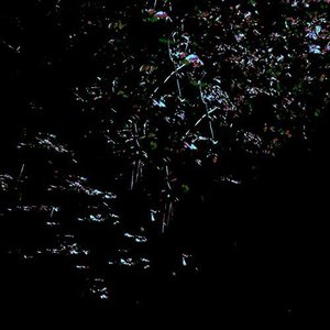 Sequence - Single