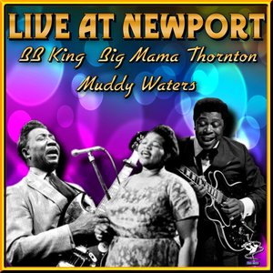 Live at Newport