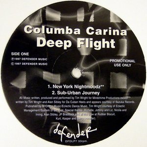 Deep Flight