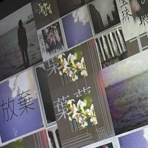 放棄されたアイデア 1