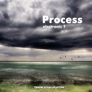 Electronic 1