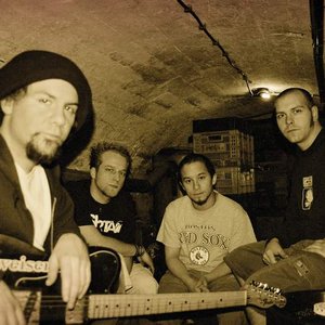 Jaya the Cat 的头像