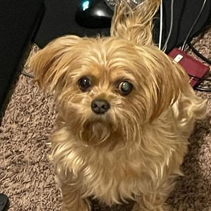 Avatar for hoodwtch