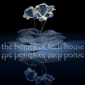 The Beauty of Tech House (Gorgeous Techno and Minimal House Diamonds)