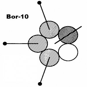 Bor-10