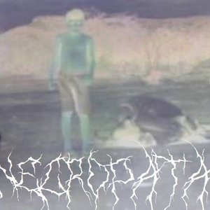 Necropata 的头像