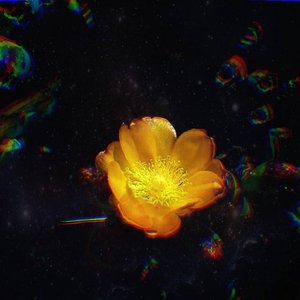 Mantra