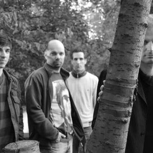 Strawdogs 的头像
