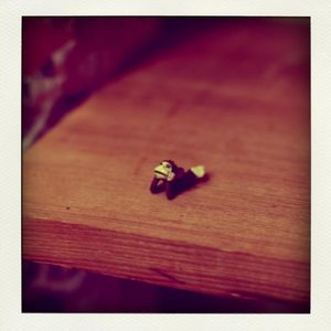 The Early Casio Tapes