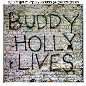 Buddy Holly & the Crickets - 20 Golden Greats - Zortam Music