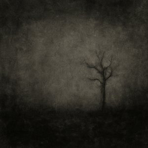 Dream Projector 的头像