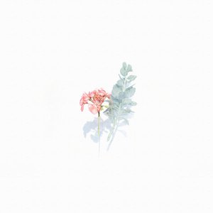 Overgrown
