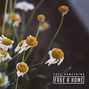 Feel Something