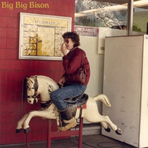Big Big Bison