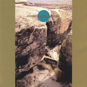 Hyderomastgroningem cover