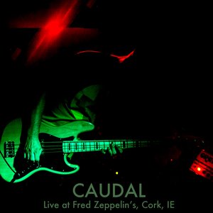 Live @ Fred Zeppelin's