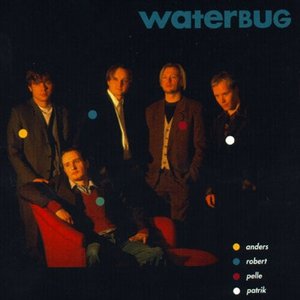 Waterbug 的头像
