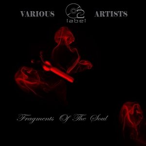 Fragments of the Soul