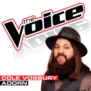 Adorn (The Voice Performance)
