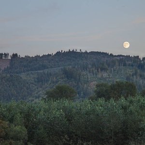 lo​-​fi vol. 1