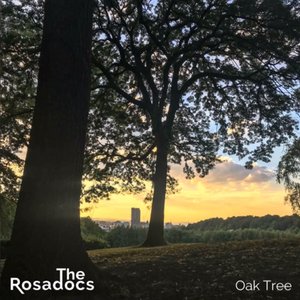 Oak Tree - Single