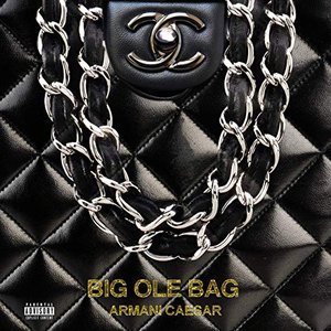 Big Ole Bag