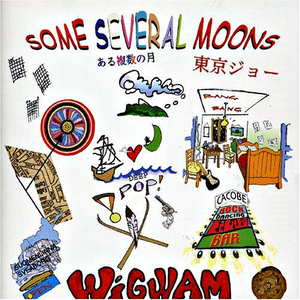 Some Several Moons cover