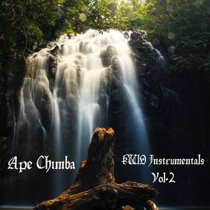 KWO Instrumentals Vol. 2