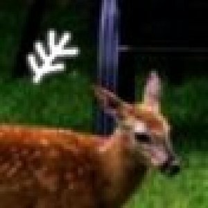 Avatar for Richard Henley