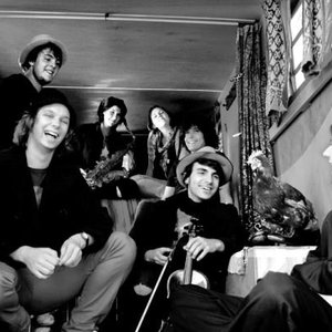 Avatar di The Brow Horn Orchestra