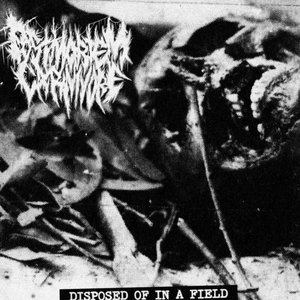 Disposed of in a Field