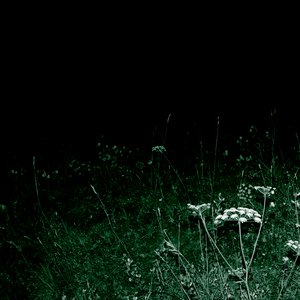 Nightwalk
