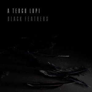 Black Feathers