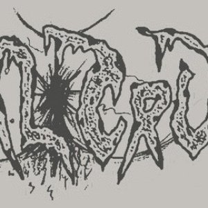 anal crust 的头像