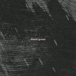 black grass