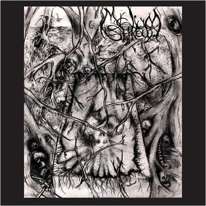 Mycelium Shroud (extended version)