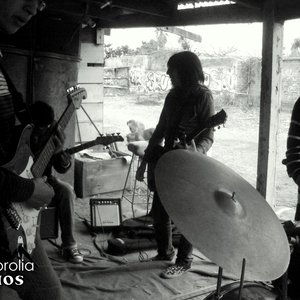 “Psicorolia Demo”的封面
