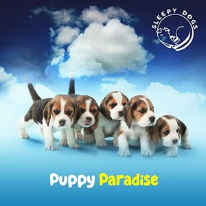Puppy Paradise