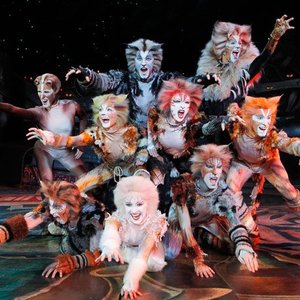 Elenco: Cats México 的头像