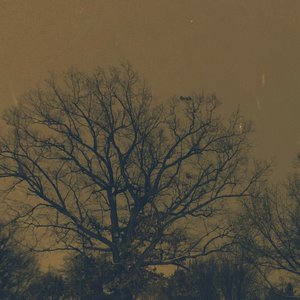 Ghost Adjacent